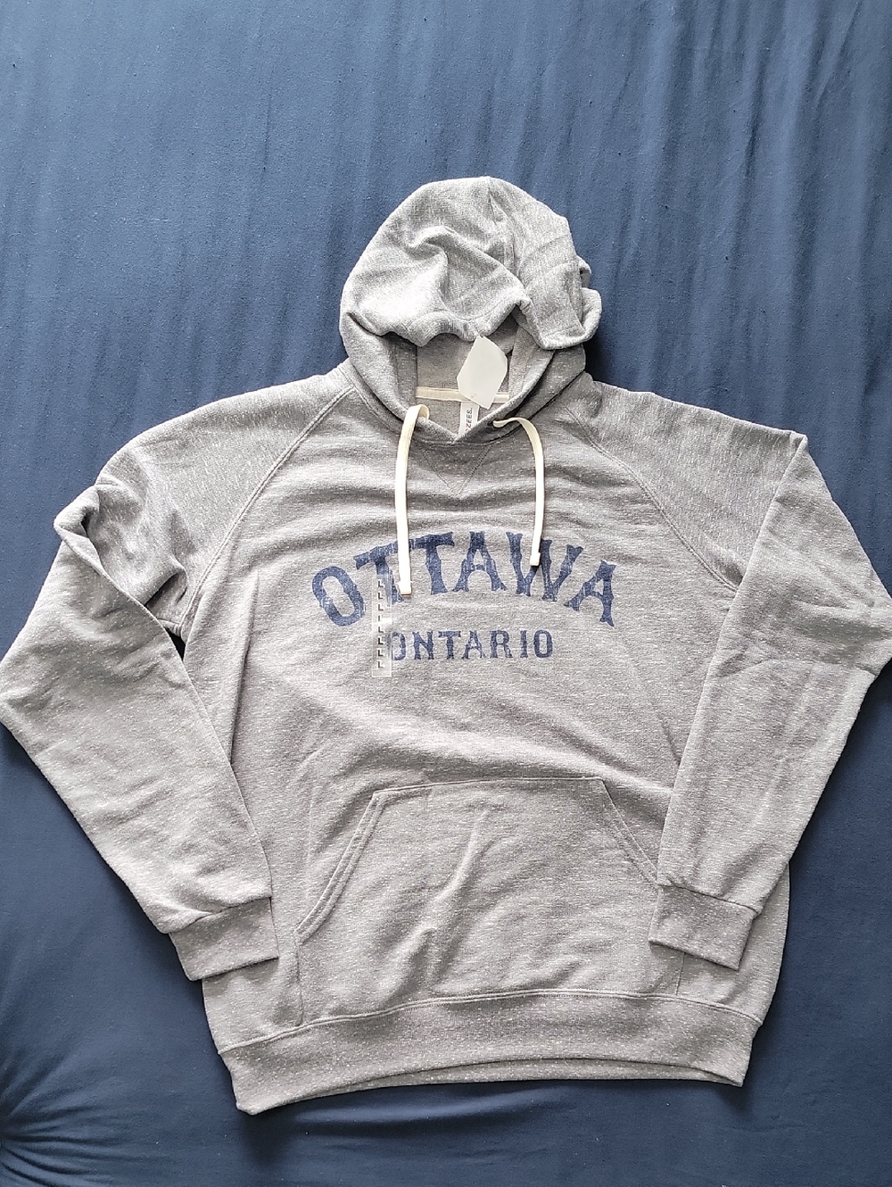 Jerzees Gray Hooded Sweatshirt with Blue Ottawa Ontario Print